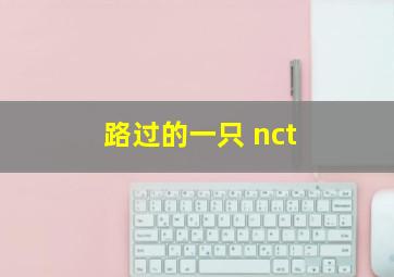 路过的一只 nct